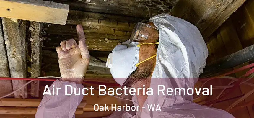  Air Duct Bacteria Removal Oak Harbor - WA