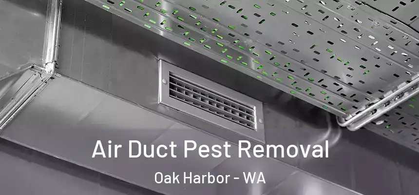  Air Duct Pest Removal Oak Harbor - WA