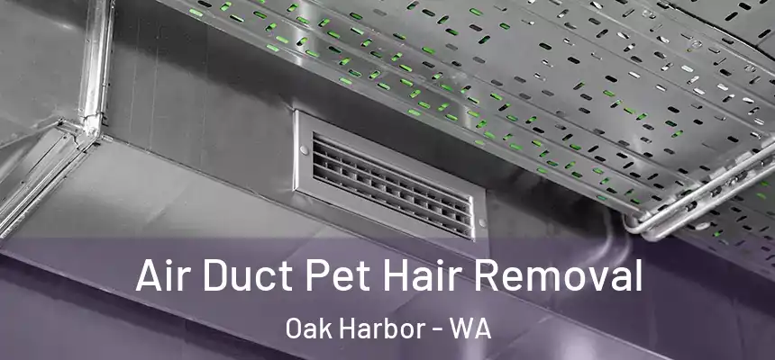 Air Duct Pet Hair Removal Oak Harbor - WA