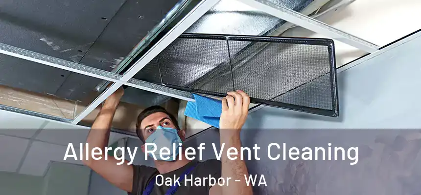  Allergy Relief Vent Cleaning Oak Harbor - WA