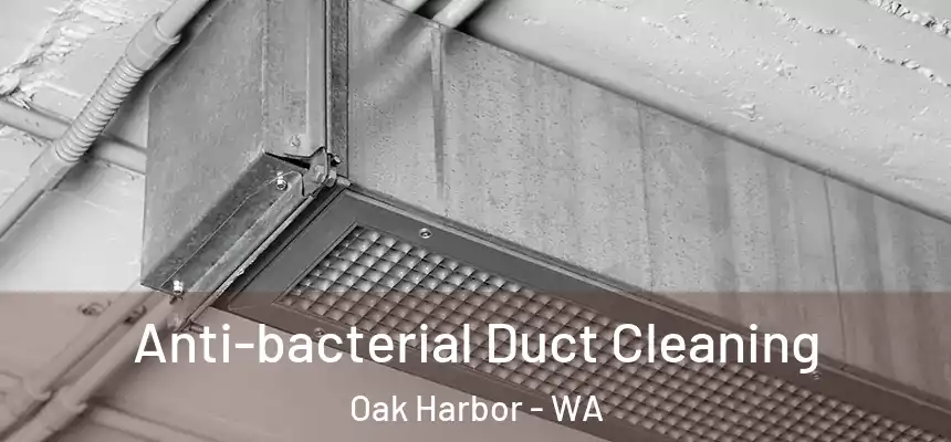  Anti-bacterial Duct Cleaning Oak Harbor - WA