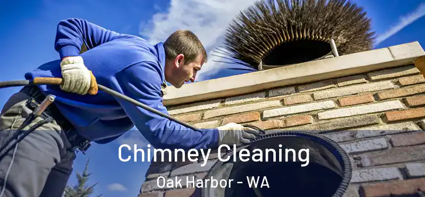  Chimney Cleaning Oak Harbor - WA
