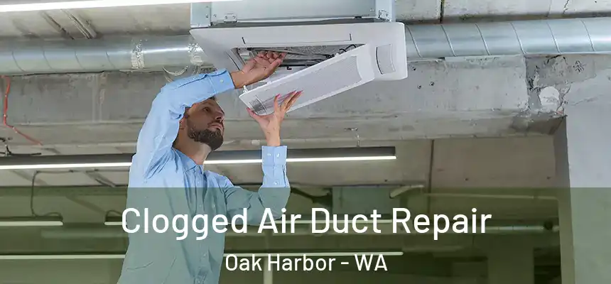  Clogged Air Duct Repair Oak Harbor - WA