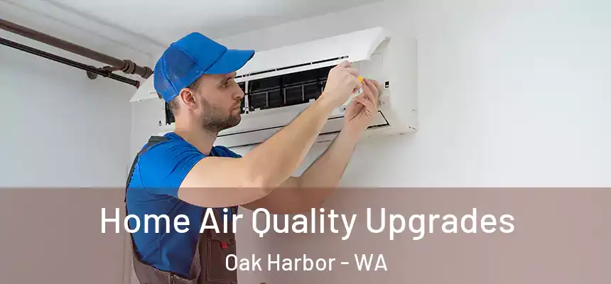  Home Air Quality Upgrades Oak Harbor - WA