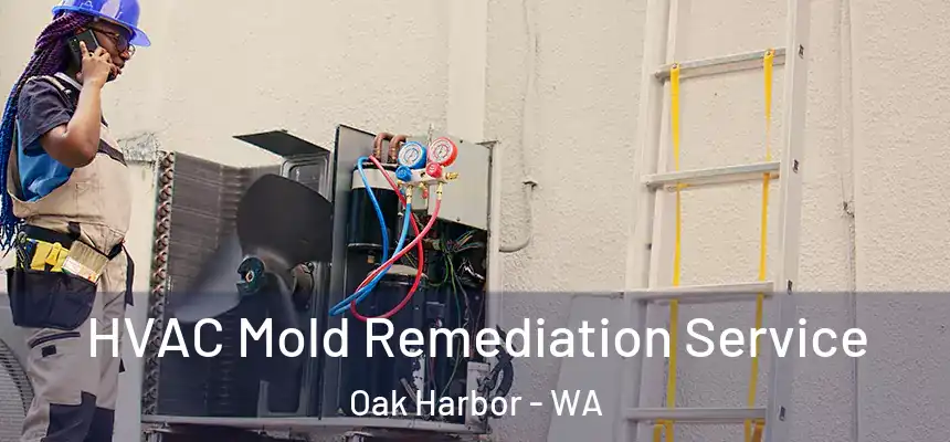 HVAC Mold Remediation Service Oak Harbor - WA