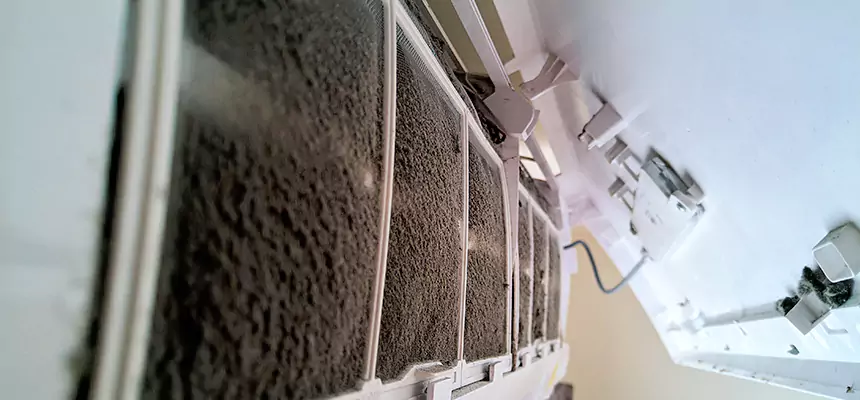 Preventive Air Duct Bacteria Removal in Oak Harbor