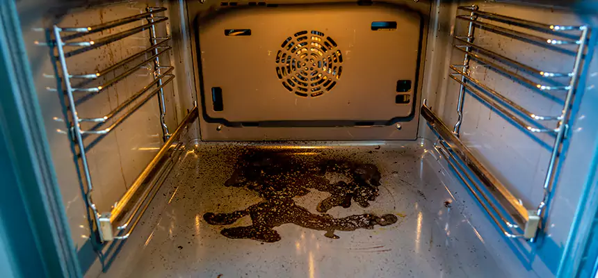 Our Air Duct Overhaul & Upgrades Services in Oak Harbor, WA