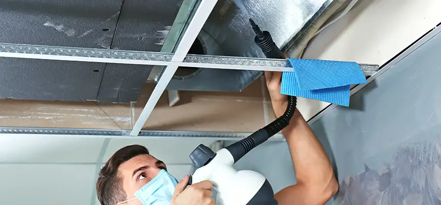 Our Air Duct Rodent Removal Services in Oak Harbor, WA