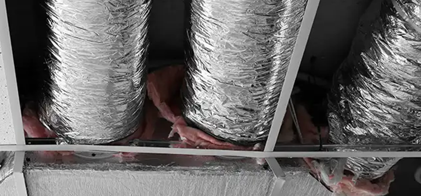 Scalable Commercial Multi‑Unit Dryer Vent Camera Inspection in Oak Harbor, WA