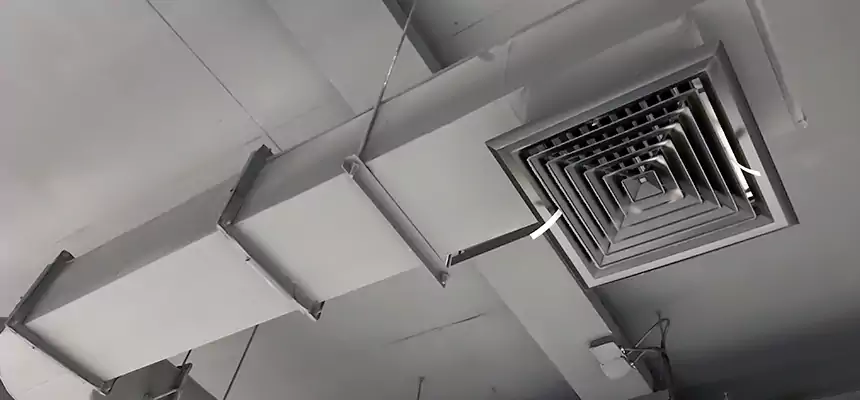 Our Pest Removal From Ducts Services in Oak Harbor, WA