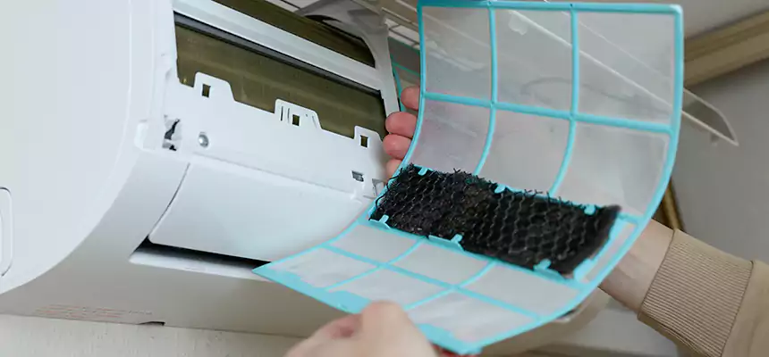 Gentle Ductwork Odor-Control Pet Dander Duct Cleaning in Oak Harbor, WA