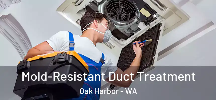  Mold-Resistant Duct Treatment Oak Harbor - WA