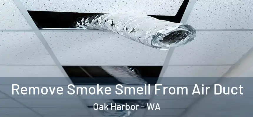  Remove Smoke Smell From Air Duct Oak Harbor - WA