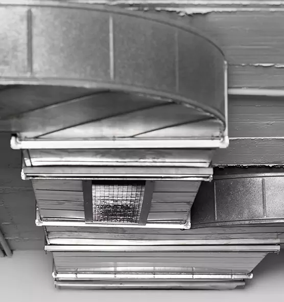 Professional Air Duct Pest Removal in Oak Harbor, WA