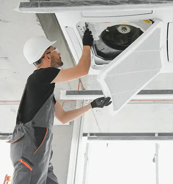 About Air Duct Rodent Removal in Oak Harbor, WA