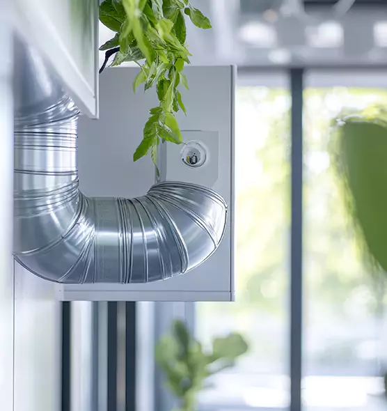 Professional Eco-Safe Dryer Vent Cleaning in Oak Harbor, WA