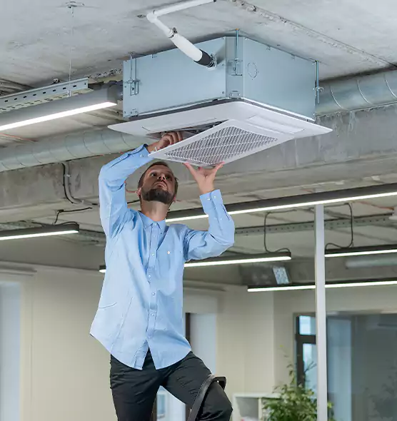 Advanced Rodent Droppings In Vents in Oak Harbor, WA