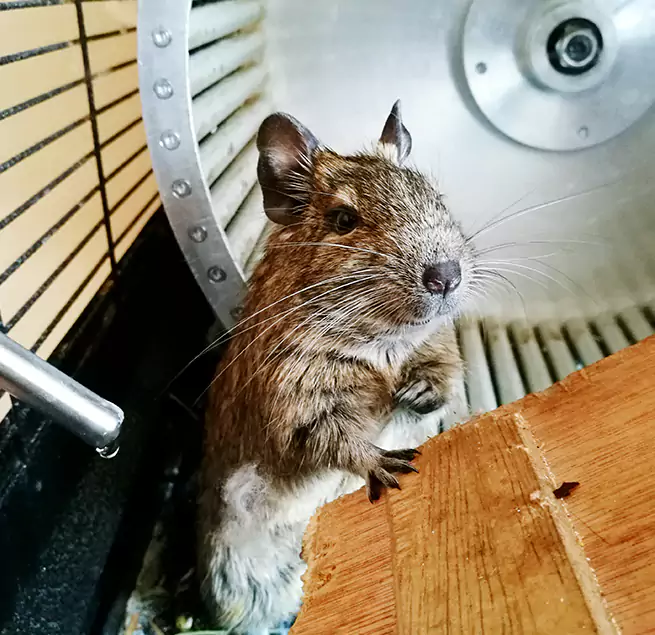 Why Homeowners & Businesses Trust Us Oak Harbor, WA