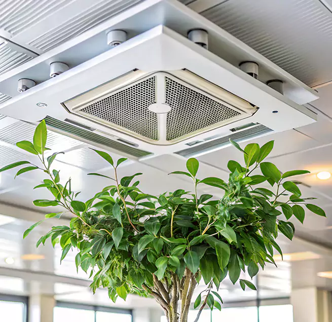 Why Homeowners & Businesses Trust Us in Oak Harbor, WA?