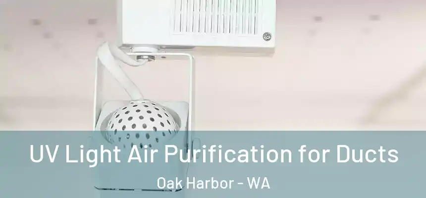  UV Light Air Purification for Ducts Oak Harbor - WA