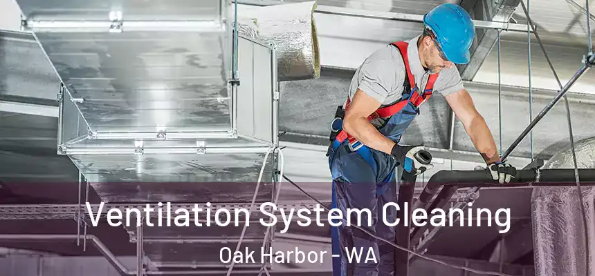Ventilation System Cleaning Oak Harbor - WA